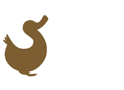 Walk and Swimming duck